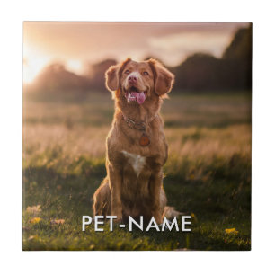 Benutzerdefiniertes Foto mit dem Namen Ihres Hunde Fliese