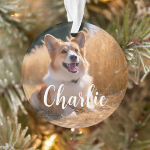 Benutzerdefiniertes Foto mit Namen Ornament