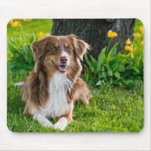 Benutzerdefiniertes Foto Mousepad