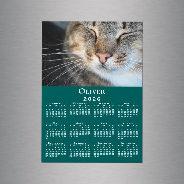 Benutzerdefiniertes Foto Name 2026 Kalender Aquama Magnetkarte (Custom Pet Photo Name 2026 Calendar Teal Magnet in situ)