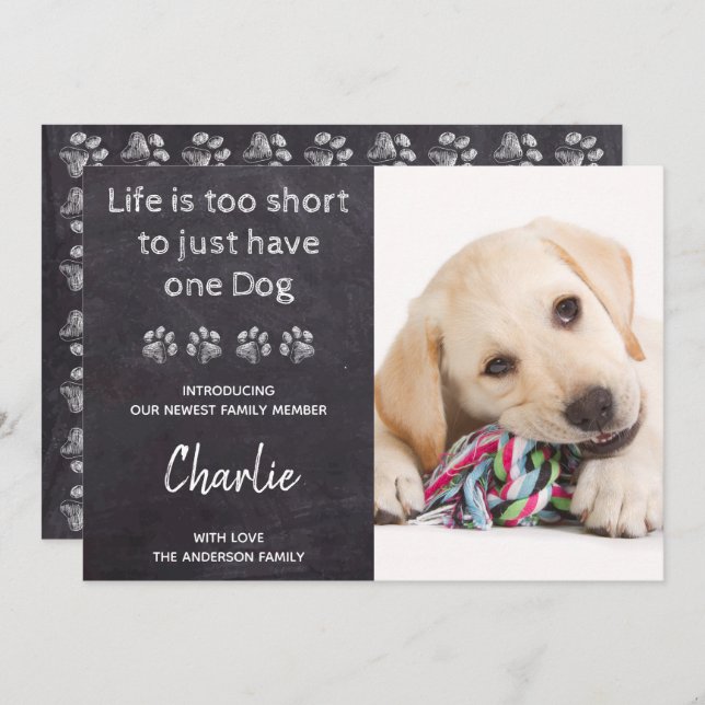 Benutzerdefiniertes Foto Neue Dog-Welpendusche Einladung (Vorne/Hinten)