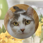 Benutzerdefiniertes Foto oder anderes Bild Pinback<br><div class="desc">Laden Sie Ihr Foto hoch und erstellen Sie Ihren perfekten personalisierten Foto-Button. Sie können dieses Design auf anderen Zazzle-Produkten übertragen und an die meisten Zazzle-Produkte anpassen. Sie können auch auf die Schaltfläche CUSTOMIZE klicken, um Details wie Hintergrundfarbe, Text, Schriftart oder einige Grafiken hinzuzufügen, zu löschen oder zu ändern. Standard Studio...</div>