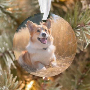 Benutzerdefiniertes Foto Ornament