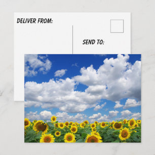Benutzerdefiniertes Foto personalisiert  Postkarte