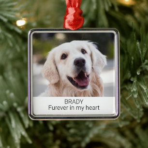 Benutzerdefiniertes Foto Pet Memorial mit dem Name Ornament Aus Metall