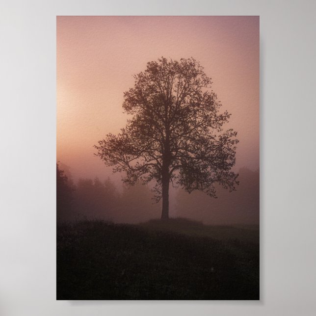Benutzerdefiniertes Foto  Poster (Vorne)