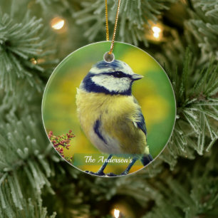 Benutzerdefiniertes Foto von Gelbbrust-Blauem Schw Keramik Ornament