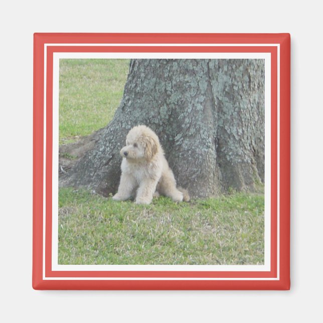 Benutzerdefiniertes Foto Vorlage Klassisches Rot u Magnet (Vorne)