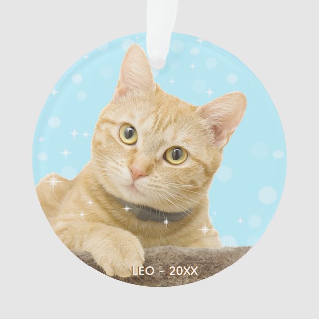 Benutzerdefiniertes Ginger Tabby Katzenfoto Ornament (Vorderseite)