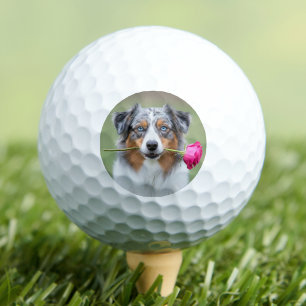 Benutzerdefiniertes Haustier-Hund-Foto personalisi Golfball