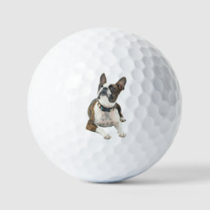Benutzerdefiniertes Haustier-Hunde-Foto Moderne pe Golfball