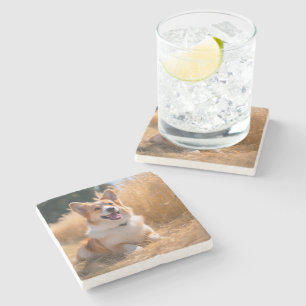 Benutzerdefiniertes Haustierfoto Steinuntersetzer