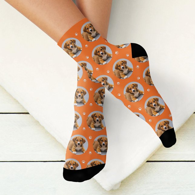 Benutzerdefiniertes Hund Foto Orange Paw Print Socken (Von Creator hochgeladen)