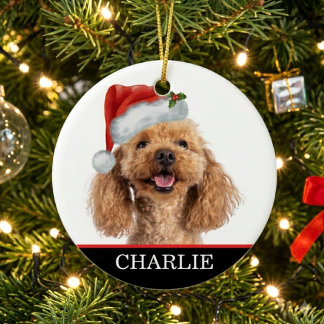 Benutzerdefiniertes Hunde-Foto Haustier Weihnachts Keramik Ornament