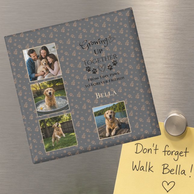Benutzerdefiniertes Hunde-Foto Magnet (Von Creator hochgeladen)