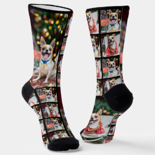 Benutzerdefiniertes Hundedokument Socken