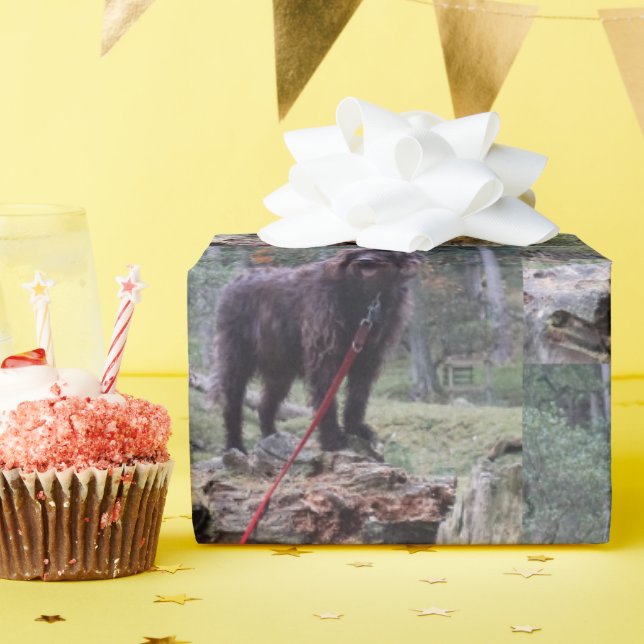 Benutzerdefiniertes Hundeschleifpapier Geschenkpapier (Geburtstagsparty)