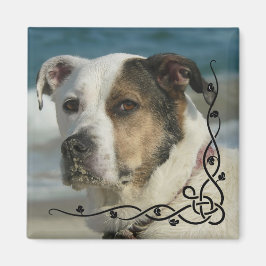 Benutzerdefiniertes Instagramm-Foto Erstellen Sie  Magnet