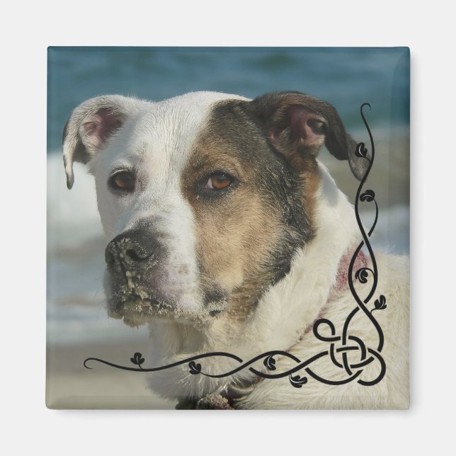 Benutzerdefiniertes Instagramm-Foto Erstellen Sie  Magnet (Vorne)