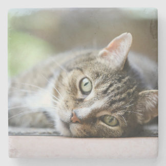 Benutzerdefiniertes Katzenfoto-Geschenk für Hausti Steinuntersetzer