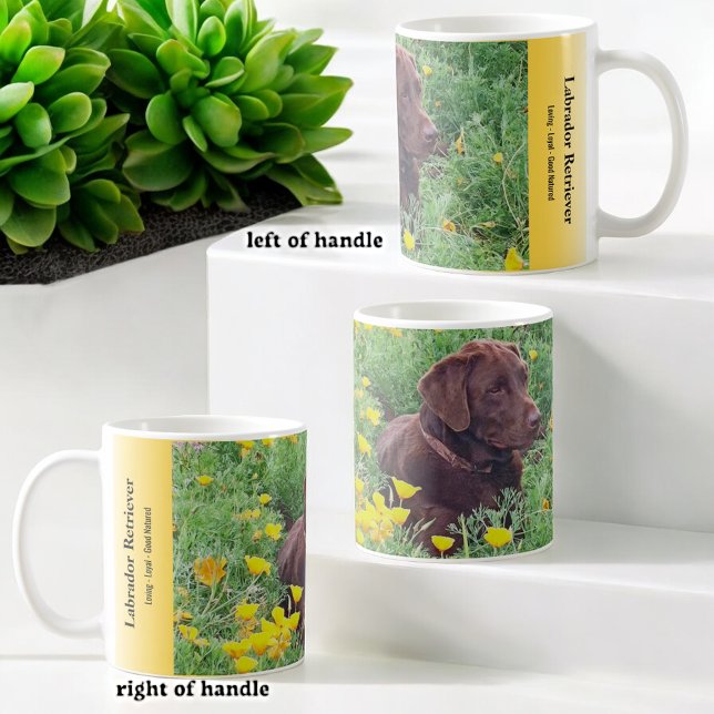 Benutzerdefiniertes Labrador Orange Poppies Placeh Kaffeetasse (custom photo and text mug)