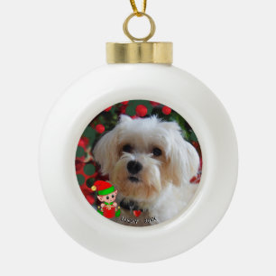Benutzerdefiniertes Malteser-Hundefoto mit süßem E Keramik Kugel-Ornament