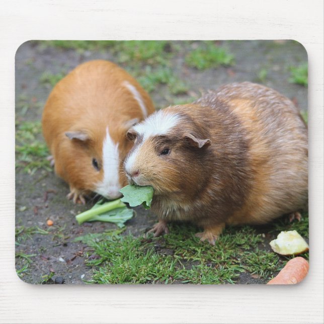 Benutzerdefiniertes modernes Pet-Bild Mousepad (Vorne)