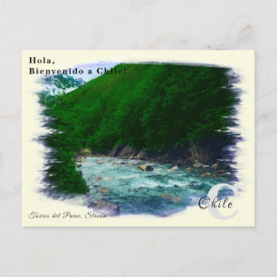 Benutzerdefiniertes Monogramm Stream Chile in Vint Postkarte