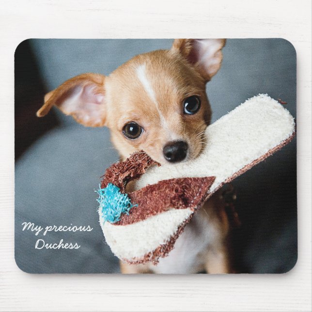 Benutzerdefiniertes Niedliches Chihuahua Mouse Pad Mousepad (Vorne)