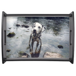 Benutzerdefiniertes Niedliches Pet Friend Foto Dog Serviertablett