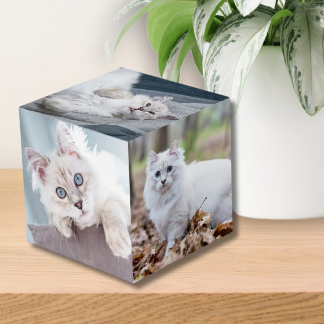 Benutzerdefiniertes Personalisiertes Cat Keepake P Würfel (Custom Personalized Cat Keepsake Pet Photo cube)