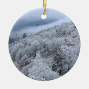 Benutzerdefiniertes Personalisiertes Foto Keramik Ornament