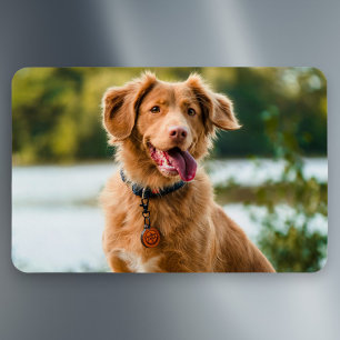 Benutzerdefiniertes Personalisiertes Foto Magnet