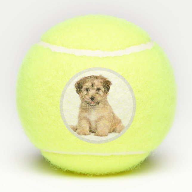 Benutzerdefiniertes Personalisiertes HundeFoto Tennisbälle (Rückseite)