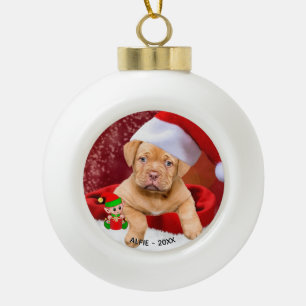 Benutzerdefiniertes Pitbull-Welpen-Hund-Foto mit s Keramik Kugel-Ornament