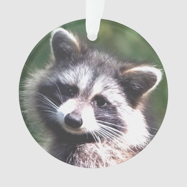 Benutzerdefiniertes Raccoon-Foto Ornament (Vorderseite)