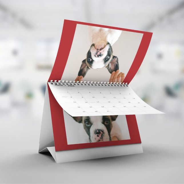 Benutzerdefiniertes rotes Haustierfoto  Kalender (Von Creator hochgeladen)