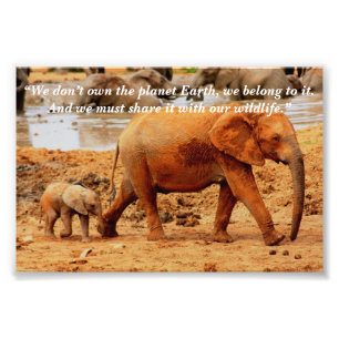 Benutzerdefiniertes Slogan/Elephant Mutter & Kalf Fotodruck