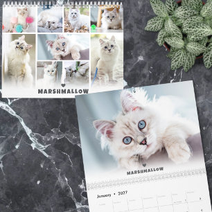 Benutzerdefiniertes süßes Haustier Katzenfoto Kalender