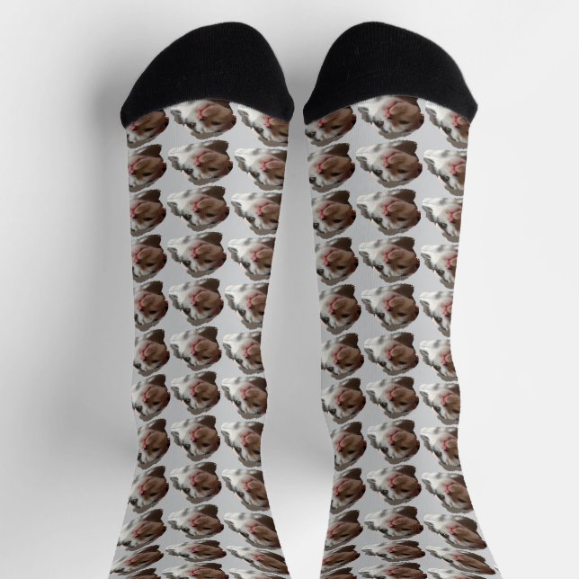 Benutzerdefiniertes süßes Katzenbild-Muster Socken (Oben)