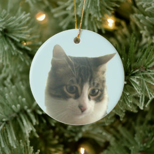Benutzerdefiniertes Tabby-Cat-Foto für Light Blue Keramik Ornament