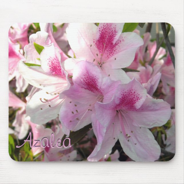 Benutzerdefiniertes Text Hot Pink Azalea Blume Fot Mousepad (Vorne)
