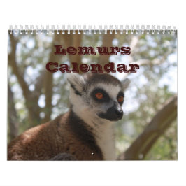 Benutzerdefiniertes Ziel von Animal Lemur Niedlich Kalender
