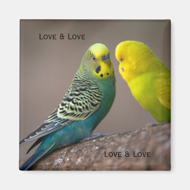 Benutzerdefiniertes Zwei-Parrot-Bild mit Text Love Magnet (Vorne)