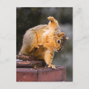 Beobachten Sie Ihren Schritt Postkarte