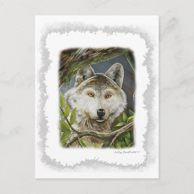 Beobachtende Augen Postkarte (Vorderseite)