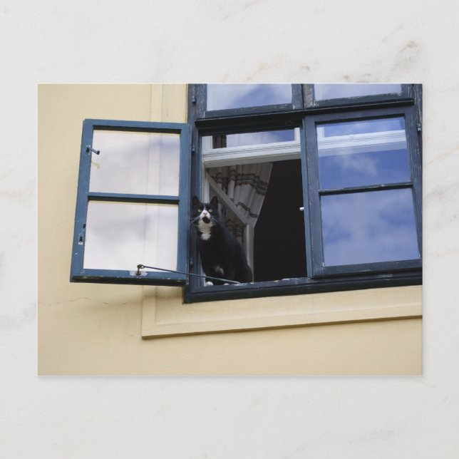 Beobachter Postkarte (Vorderseite)