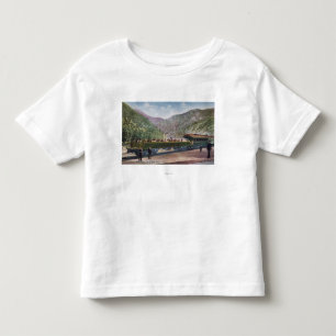 Beobachtungs-Eisenbahn-Auto Kleinkind T-shirt
