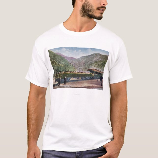 Beobachtungs-Eisenbahn-Auto T-Shirt (Vorderseite)