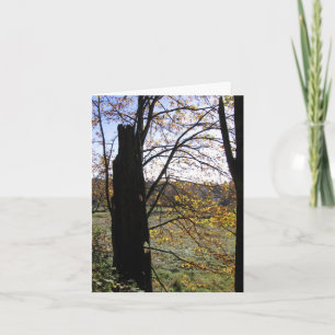 Beobachtungs- und Fantasiekarte Karte